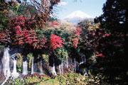 The waterfall of Shiraito